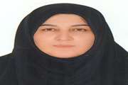 مدیر-داخلی