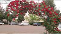 مراجعه بیش از ١٠٨٠٩٢نفر به بیمارستان امیرالمومنین (ع) در سال ٩٤ 